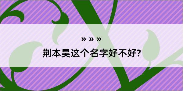 荆本昊这个名字好不好?