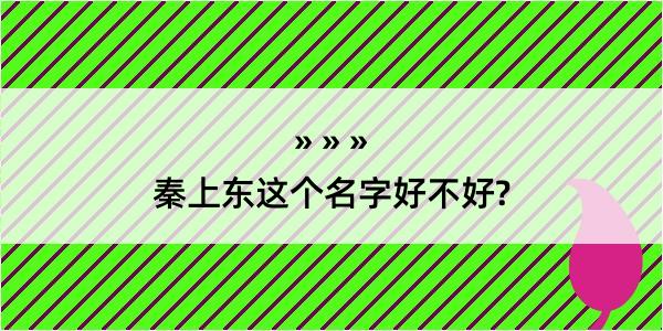 秦上东这个名字好不好?