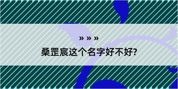 桑罡宸这个名字好不好?