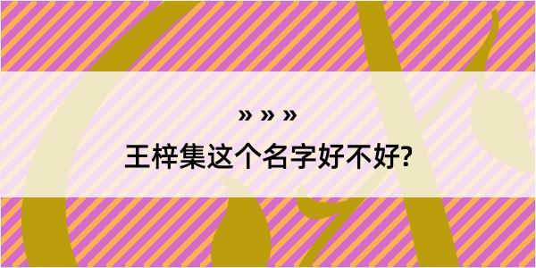 王梓集这个名字好不好?