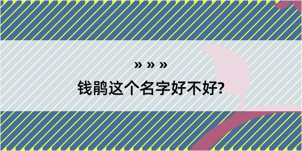 钱鹃这个名字好不好?