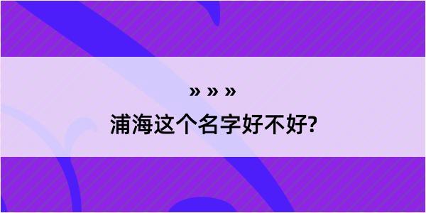 浦海这个名字好不好?