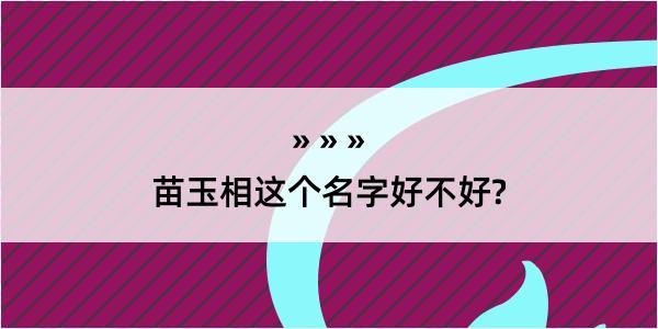 苗玉相这个名字好不好?