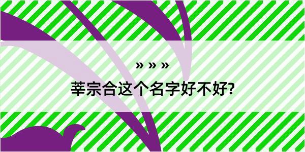 莘宗合这个名字好不好?