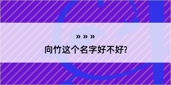 向竹这个名字好不好?