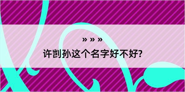 许剀孙这个名字好不好?