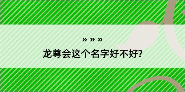 龙尊会这个名字好不好?