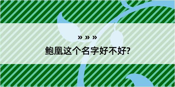 鲍凰这个名字好不好?