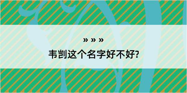 韦剀这个名字好不好?