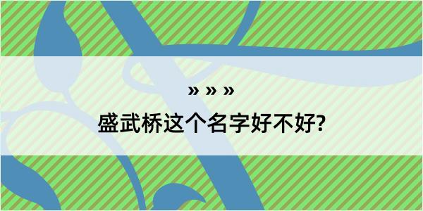 盛武桥这个名字好不好?