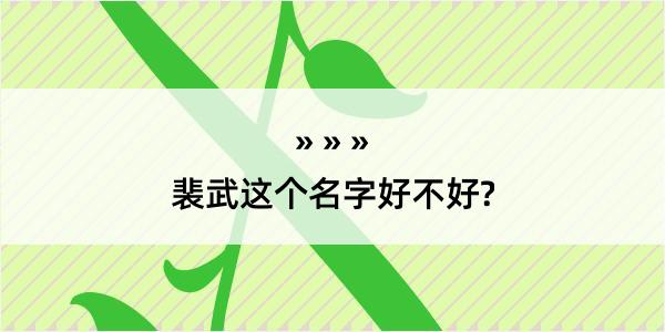 裴武这个名字好不好?