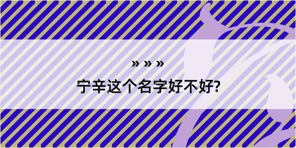 宁辛这个名字好不好?