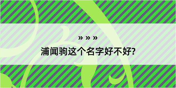 浦闻驹这个名字好不好?