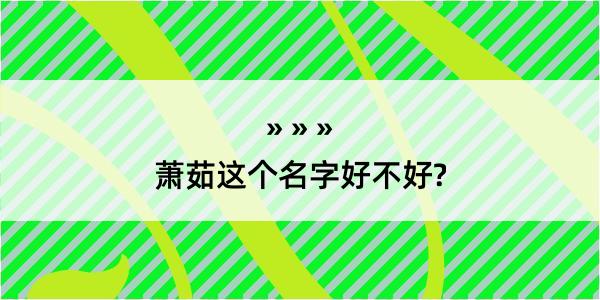 萧茹这个名字好不好?