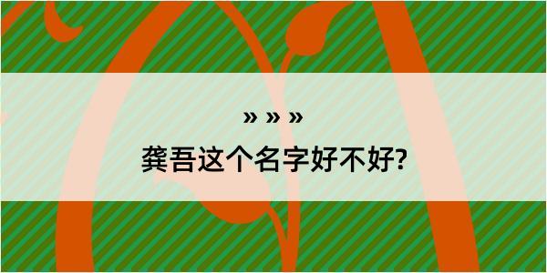 龚吾这个名字好不好?