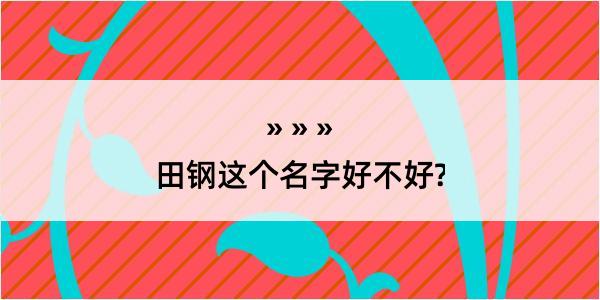 田钢这个名字好不好?