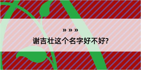 谢吉壮这个名字好不好?