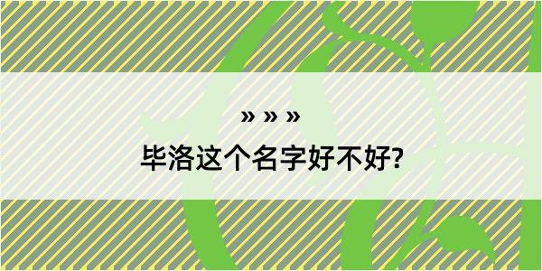 毕洛这个名字好不好?