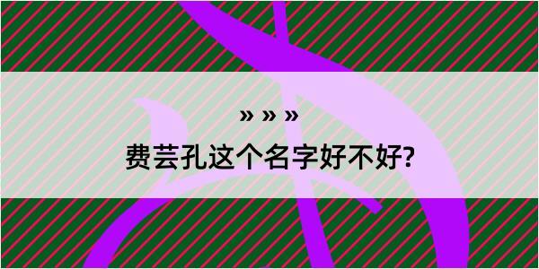 费芸孔这个名字好不好?