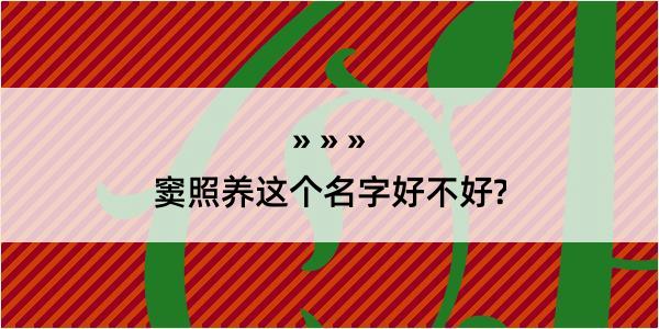 窦照养这个名字好不好?