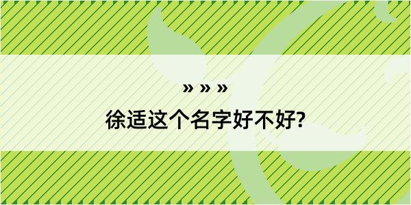 徐适这个名字好不好?