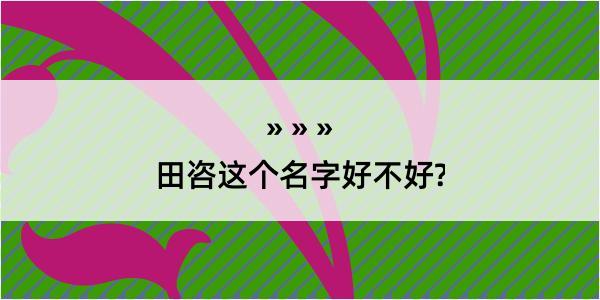 田咨这个名字好不好?