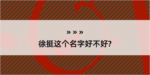 徐挺这个名字好不好?