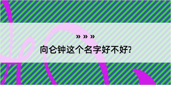 向仑钟这个名字好不好?