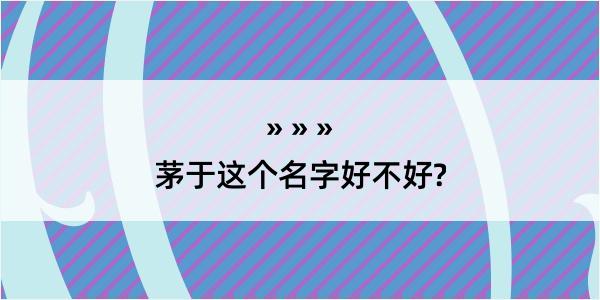 茅于这个名字好不好?