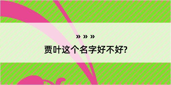 贾叶这个名字好不好?