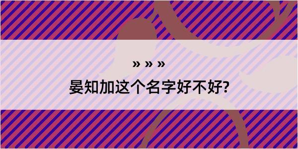 晏知加这个名字好不好?