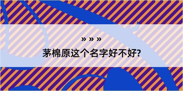 茅棉原这个名字好不好?