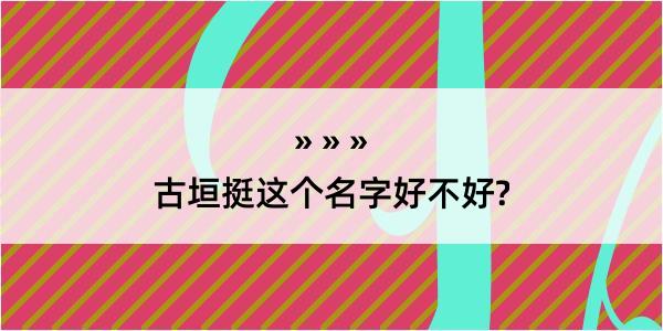 古垣挺这个名字好不好?