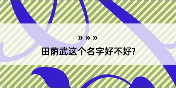 田荫武这个名字好不好?