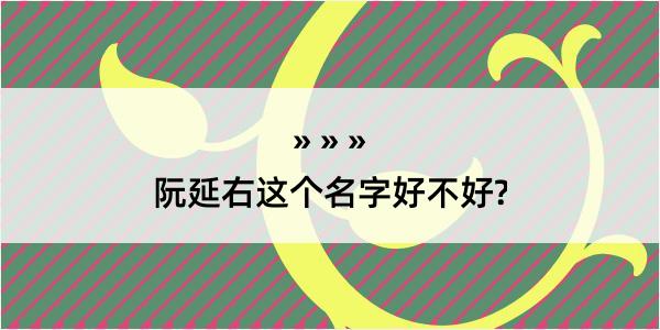 阮延右这个名字好不好?