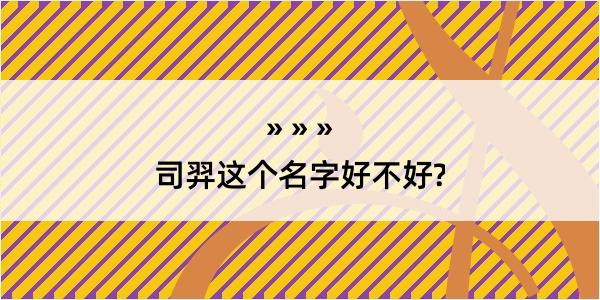 司羿这个名字好不好?