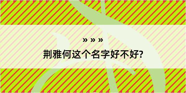 荆雅何这个名字好不好?