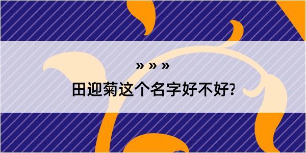 田迎菊这个名字好不好?