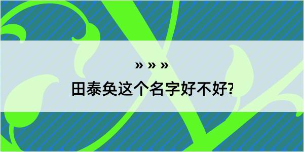 田泰奂这个名字好不好?