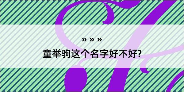 童举驹这个名字好不好?