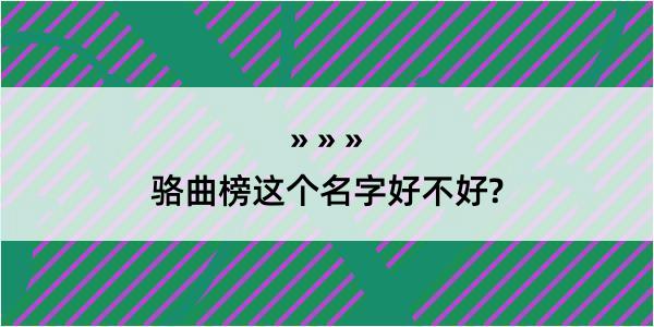 骆曲榜这个名字好不好?