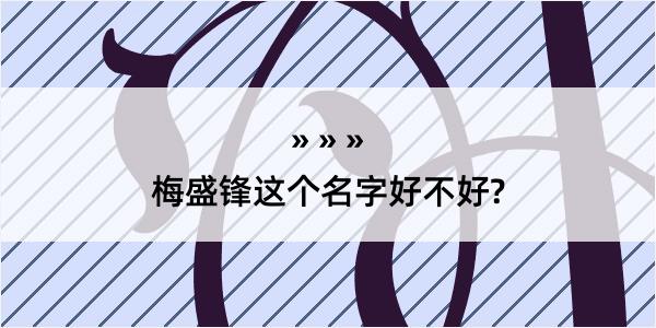 梅盛锋这个名字好不好?