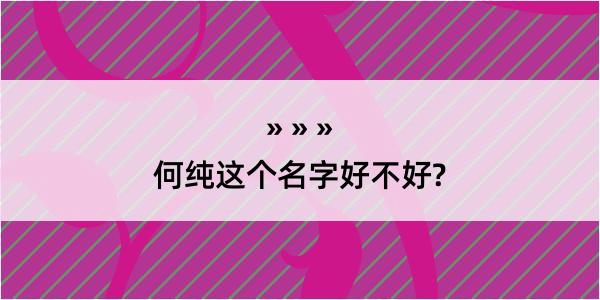 何纯这个名字好不好?