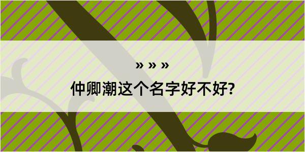 仲卿潮这个名字好不好?