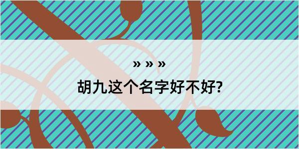 胡九这个名字好不好?