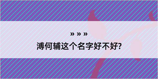 溥何辅这个名字好不好?