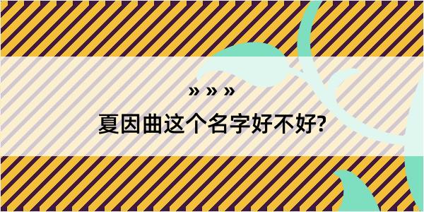 夏因曲这个名字好不好?