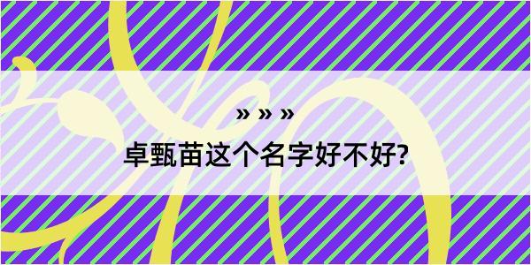 卓甄苗这个名字好不好?