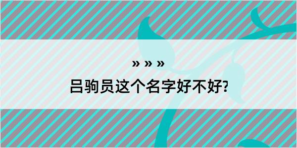 吕驹员这个名字好不好?