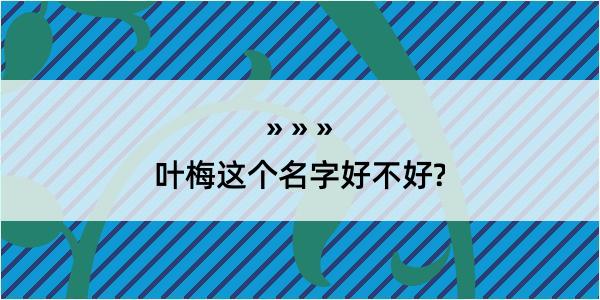 叶梅这个名字好不好?